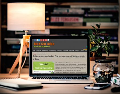 Save Hours With The Bulk Nameserver Check Tool